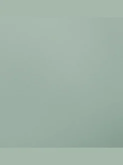 2er-Set Esszimmerstuhl SOMERS in Grün