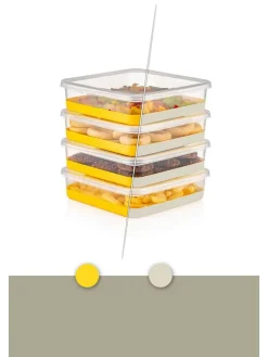 12er-Set: Frischhaltedosen in Grau/ Transparent