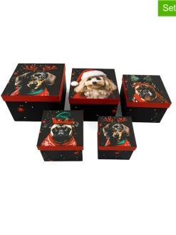 5er-Set: Geschenkboxen in Bunt