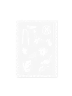 2er-Set: Geschirrtücher in Weiß