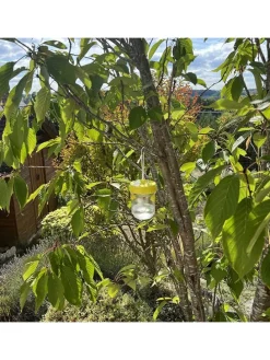 2er-Set: Insektenfalle in Transparent/ Gelb