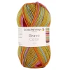 20er-Set: Kunstfasergarne ''Bravo Color'' in Bunt - 20x 50 g