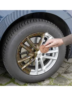 6er-Set: Kupferschwämme in Hellbraun - Ø 9 cm