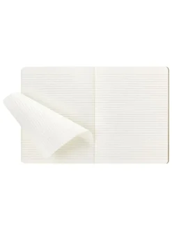 4er-Set: Linierte Notizbücher in Hellbraun - (B)19 x (H)25 cm