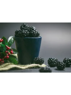 8er-Set: Obstpflanzen in Bunt