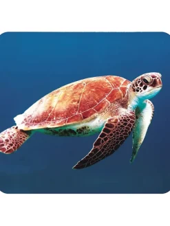 2er-Set: Projektor-Taschenlampen 