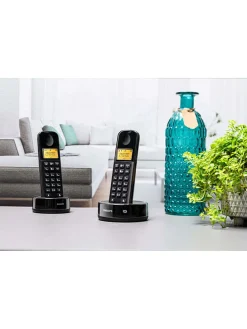 2er-Set: Schnurlose Telefone "D1602B/01 Dual"