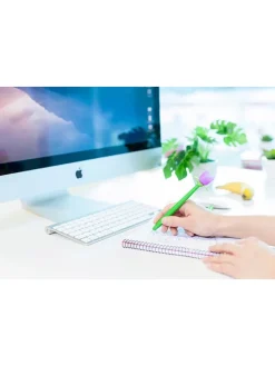 2er-Set: Tintenroller in Grün/ Gelb/ Lila