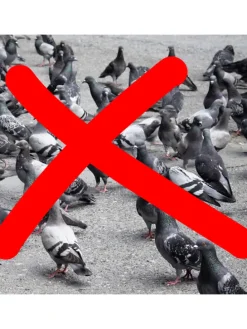 12er-Set: Vogelabwehrspirale in Grün