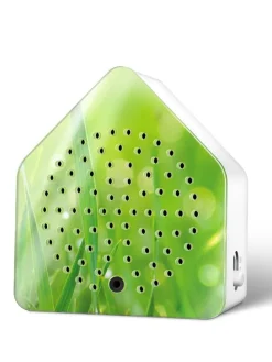 2er-Set: Zirpyboxen in Grün - (B)7 x (H)7,7 x (T)4 cm