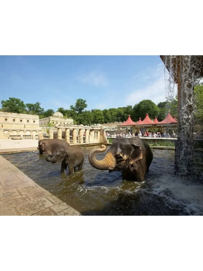 4*Fora Hotel Hannover by Mercure