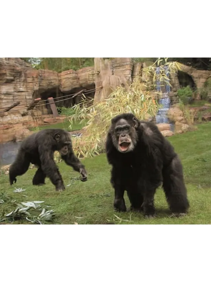 4*Fora Hotel Hannover by Mercure