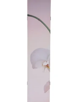 Foto-Paravent Bagheria, Orchidee