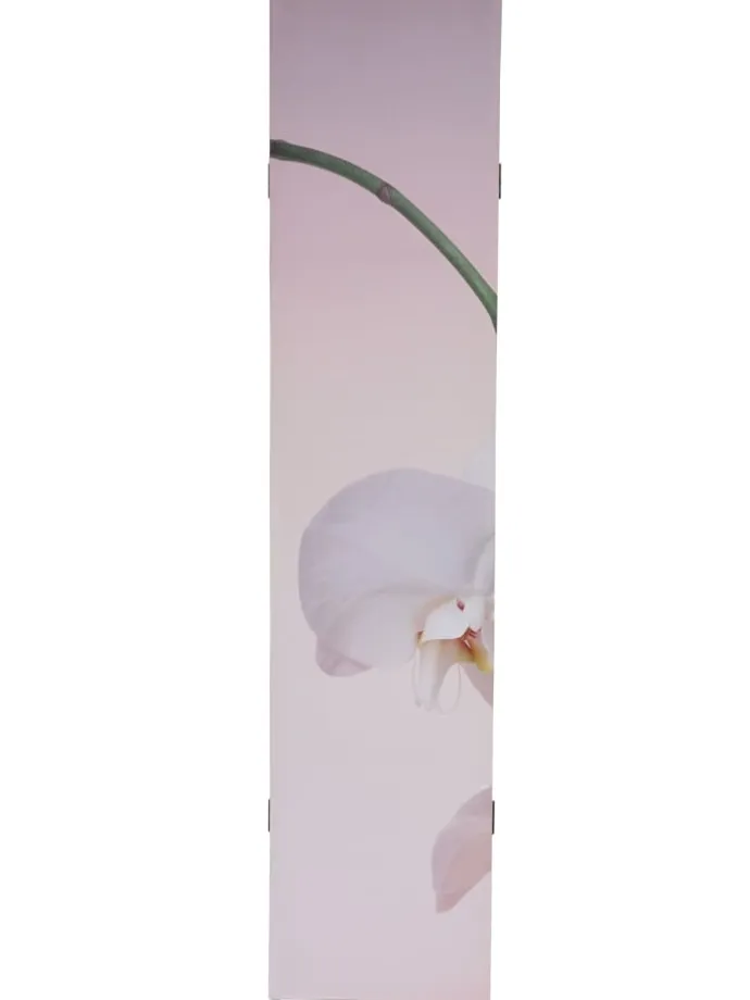 Foto-Paravent Bagheria, Orchidee