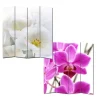 Foto-Paravent Bagheria, 180x160cm, Orchidee