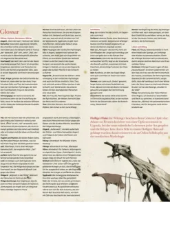 Fred bei den Wikingern | Jarl Ragnalds Vermächtnis