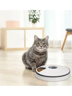 Futterautomat Katze in Weiß/ Grau