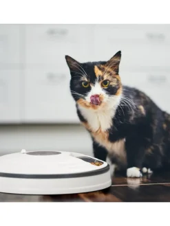 Futterautomat Katze in Weiß/ Grau