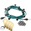 Garten Party Lichterkette Illu 10x dimmbare Glühbirne 5m grün