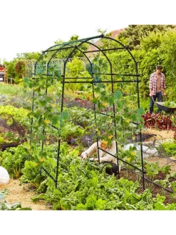 Gartenbogen 230cm in Schwarz