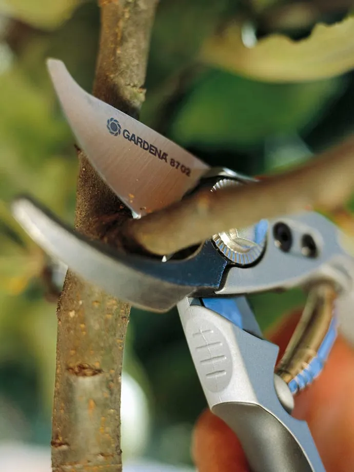 Gartenschere "BP 50" in Silber