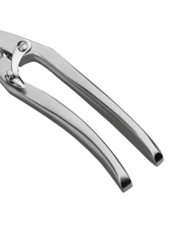 Geflügelschere in Silber - (L)25 cm
