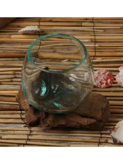 Glasschale Dekoschale Wurzelholz Unikat D: 14cm in natur