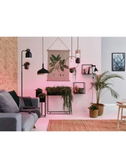 Grow Green Edition Filament 230V LED Reflektor