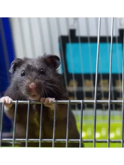 Heutasche in Blau/ Schwarz - (B)30 x (H)30 cm