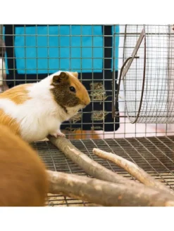 Heutasche in Blau/ Schwarz - (B)30 x (H)30 cm