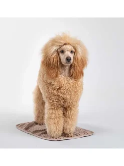 Hunde-Badetuch in Hellbraun