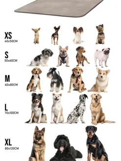 Hundedecke Lund in Beige