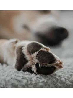 Hundedecke/Hundekissen - Wildlederimitat - Größe S (73 x 45 cm) - grau