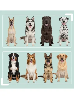 Hunde-Futterstation in Weiß - (B)60 x (H)42 x (T)30 cm