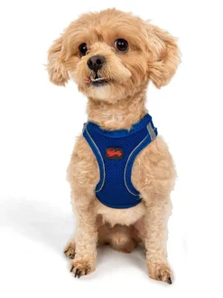 Hundegeschirr in Blau