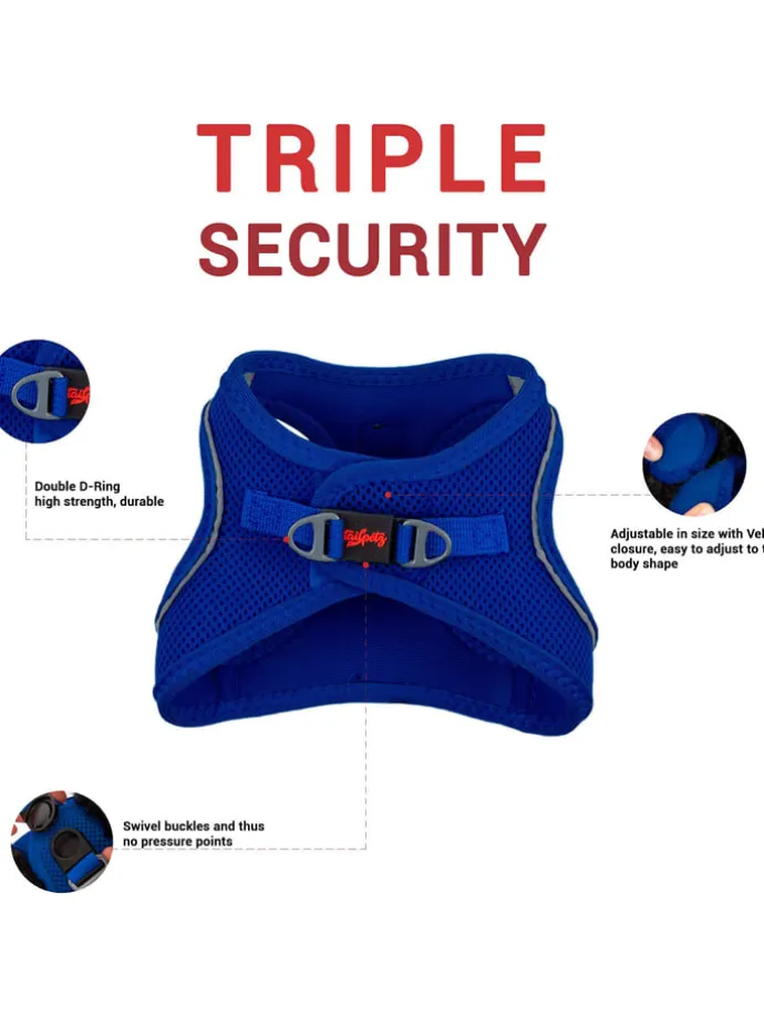 Hundegeschirr in Blau