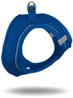 Hundegeschirr in Blau