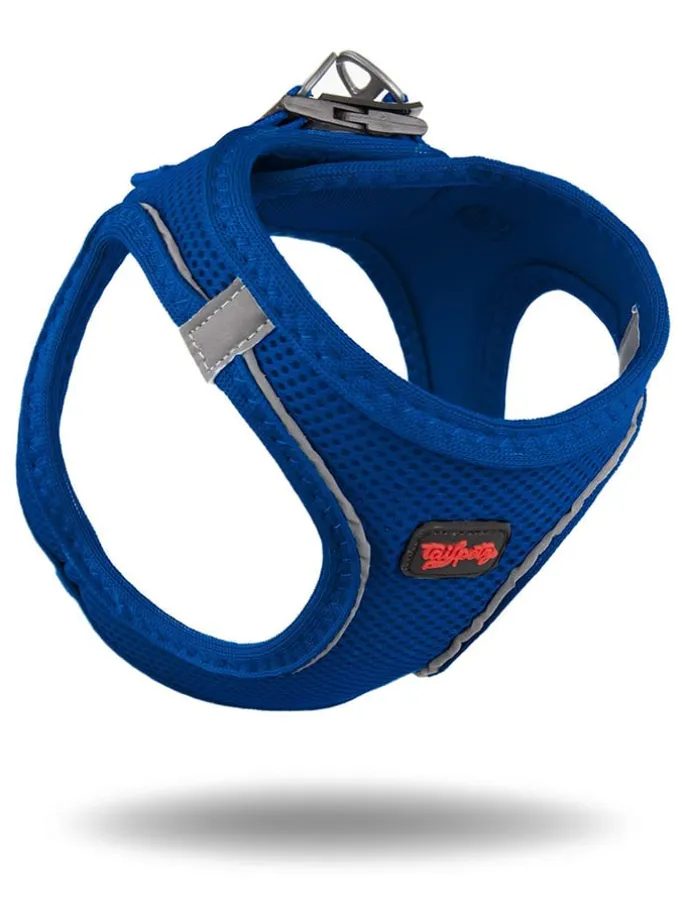 Hundegeschirr in Blau