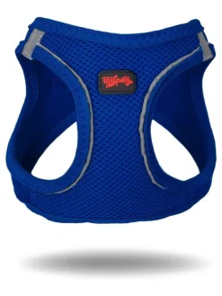 Hundegeschirr in Blau