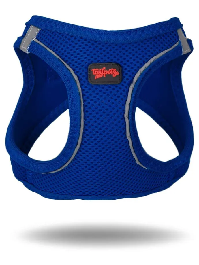 Hundegeschirr in Blau