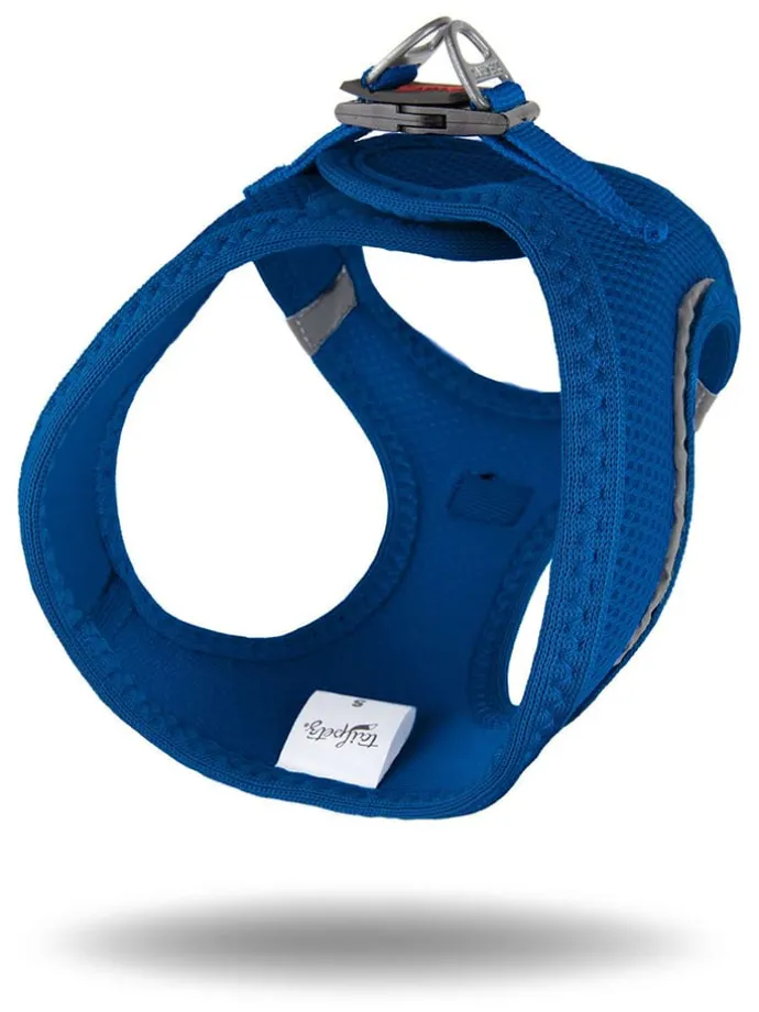 Hundegeschirr in Blau