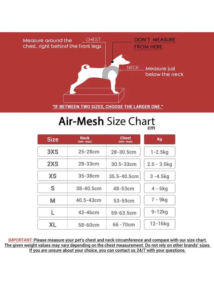 Hundegeschirr in Blau