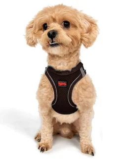 Hundegeschirr in Braun