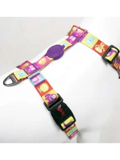 Hundegeschirr in Bunt