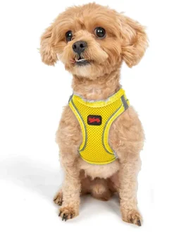 Hundegeschirr in Gelb