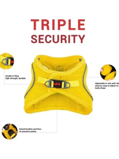 Hundegeschirr in Gelb