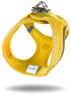 Hundegeschirr in Gelb