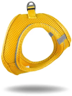 Hundegeschirr in Gelb