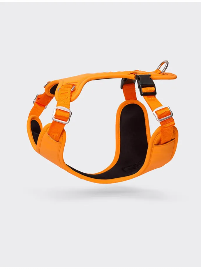 Hundegeschirr in Orange