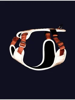 Hundegeschirr in Orange